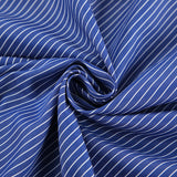 Autumn 2025 Fashion And Leisure Street Style Blue And White Stripes Loose Cardigan Shirt Senior Small Shirt 68HZ