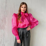 2025 Spring Sexy Perspective Mesh Long-Sleeved Top Folded High-End Bubble Bubble Sleeves To Play The Shirt Woman 68HZ