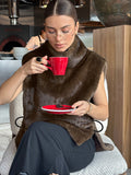 Autumn And Winter Fashion Imitation Fur Vest Female New Temperament Commuting With Plush Sleeveless High-Neck Vest 68HZ
