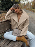 Autumn And Winter New Hairy Collar Loose Casual Coat 2025 Fashion Temperament Coat Women's Clothing 68HZ
