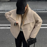 Autumn And Winter New Hairy Collar Loose Casual Coat 2025 Fashion Temperament Coat Women's Clothing 68HZ